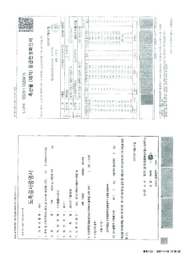 IVIV01000_1.jpg