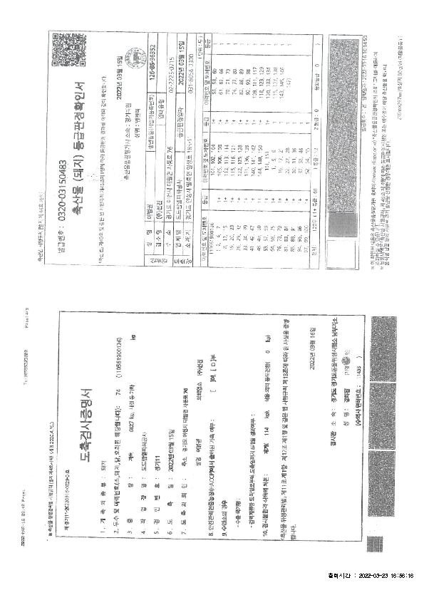 IVIV01000_1.jpg