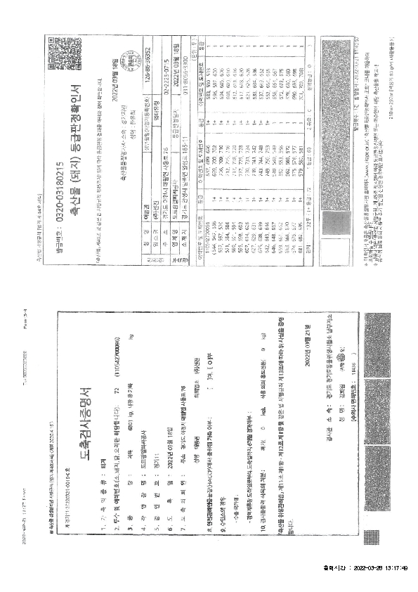 IVIV01000_11.jpg