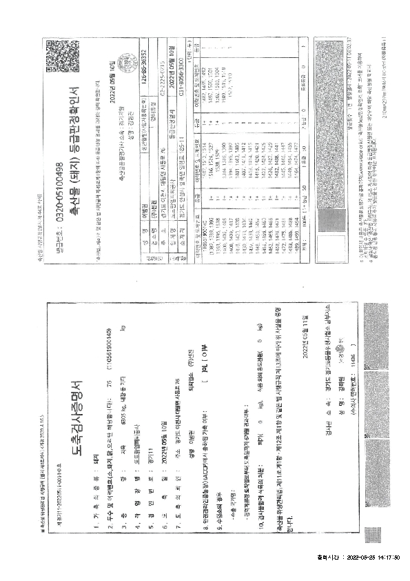 IVIV01000_2.jpg