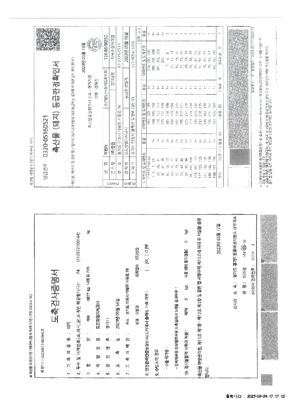 IVIV01000_12.jpg