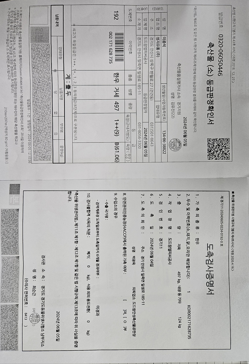 2407020.jpg