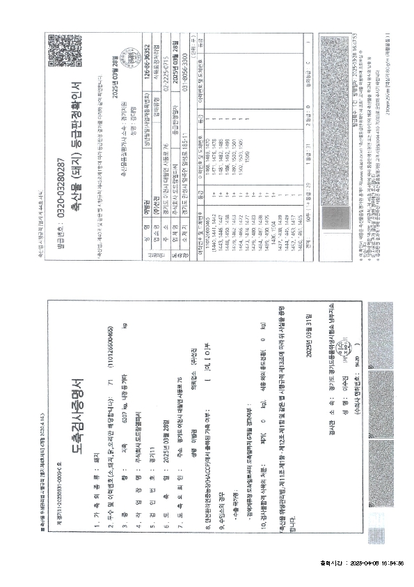 250407.jpg