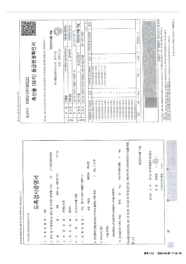 250428.jpg