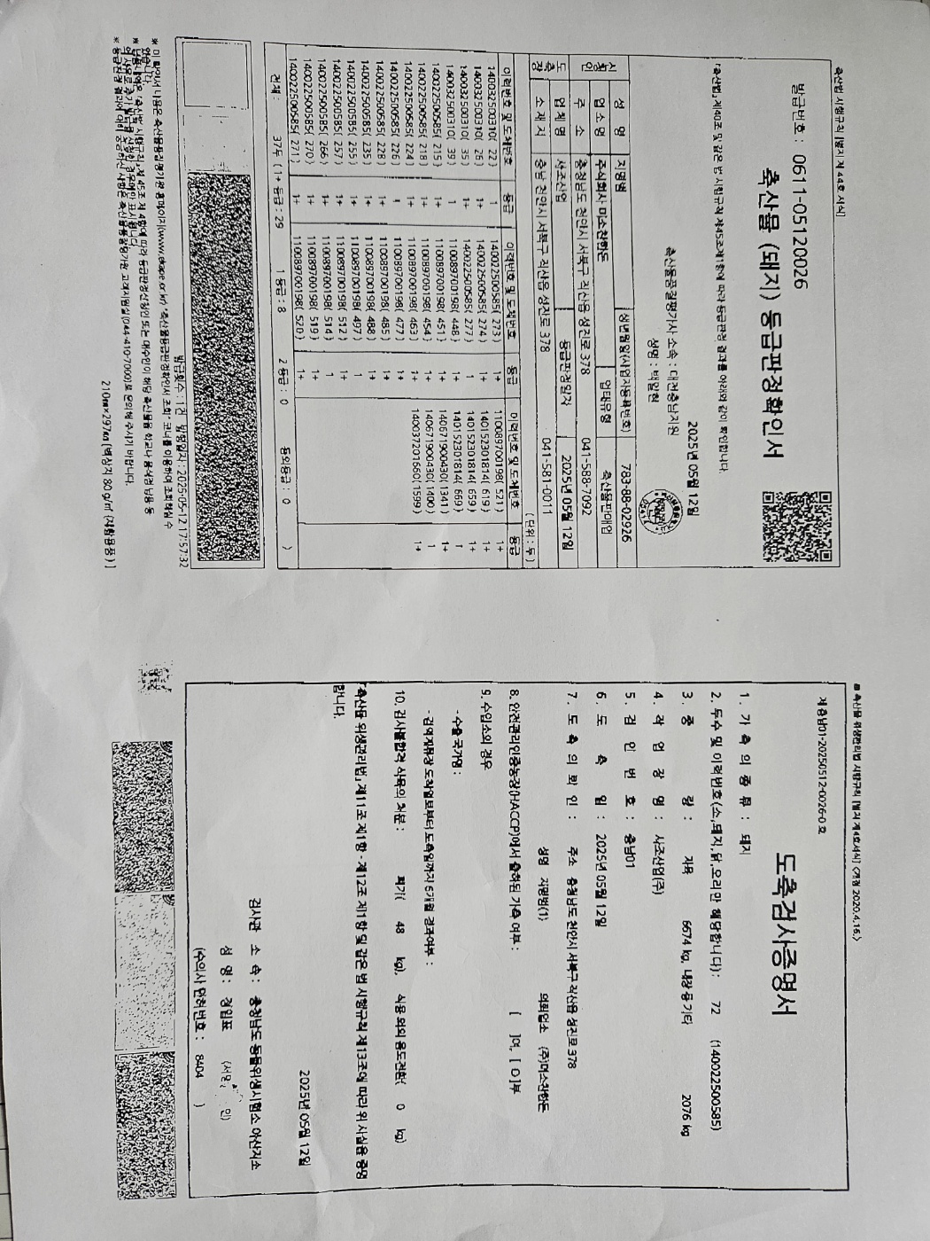 250515.jpg