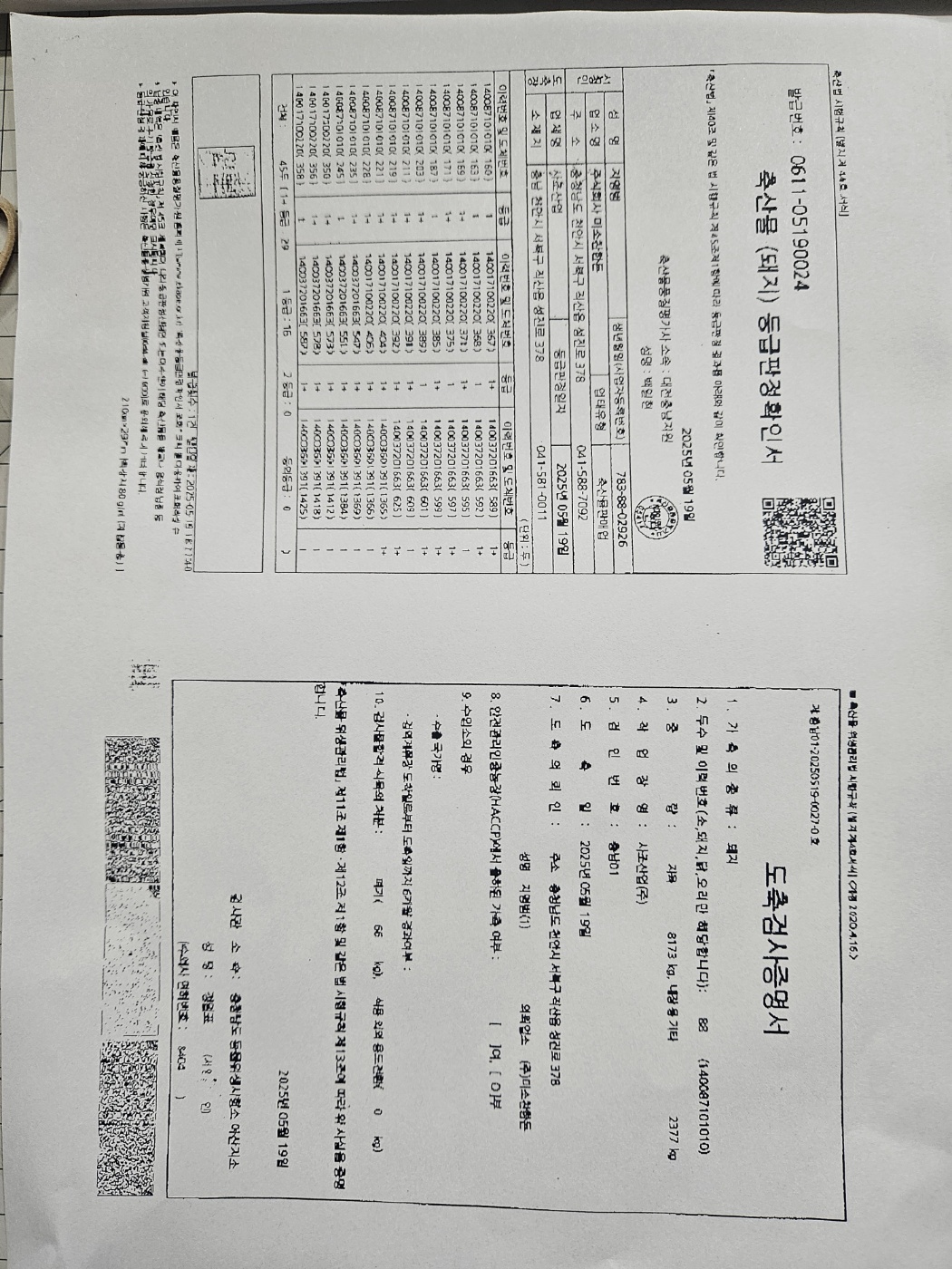 KakaoTalk_20250521_152502979.jpg