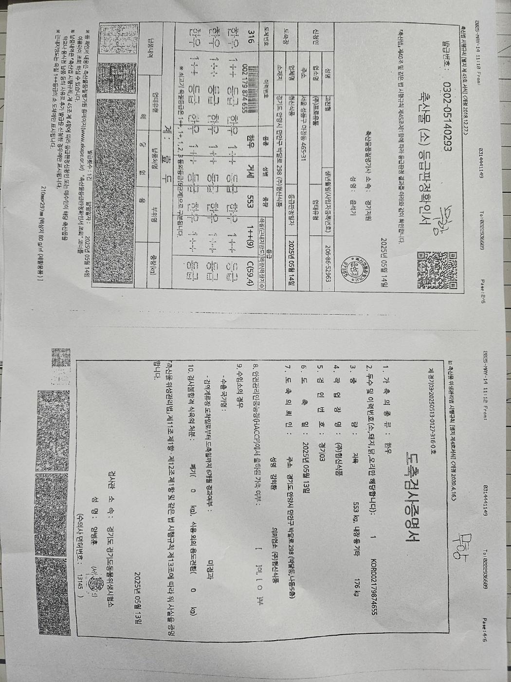 250605.jpg