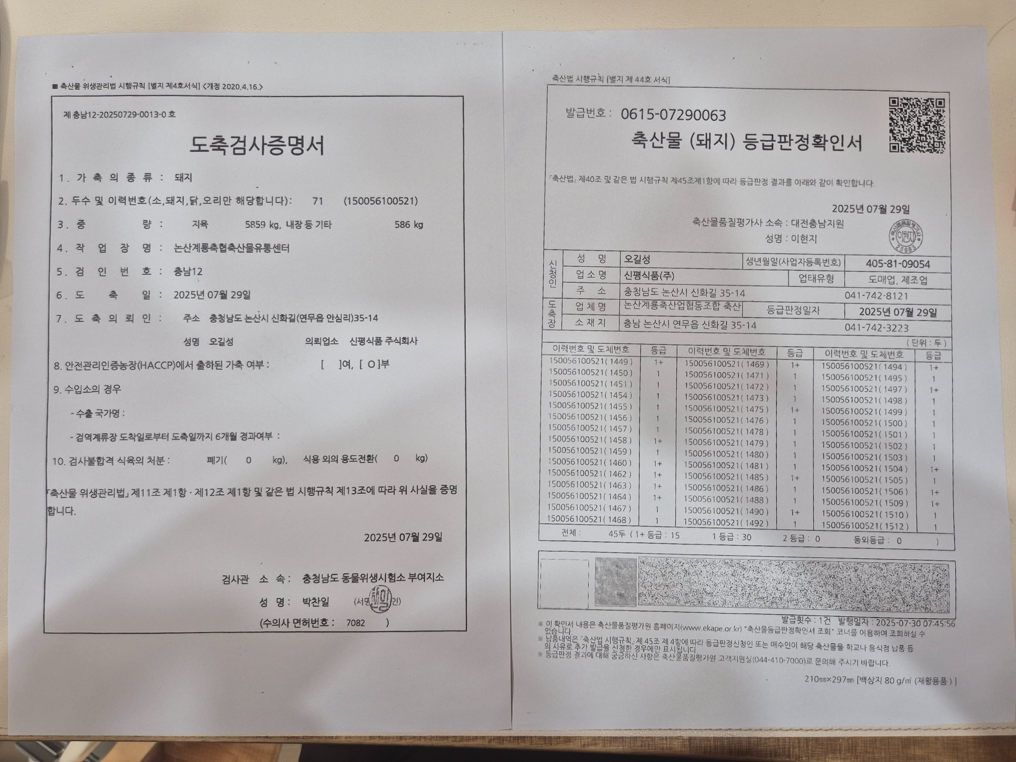 250808.jpg