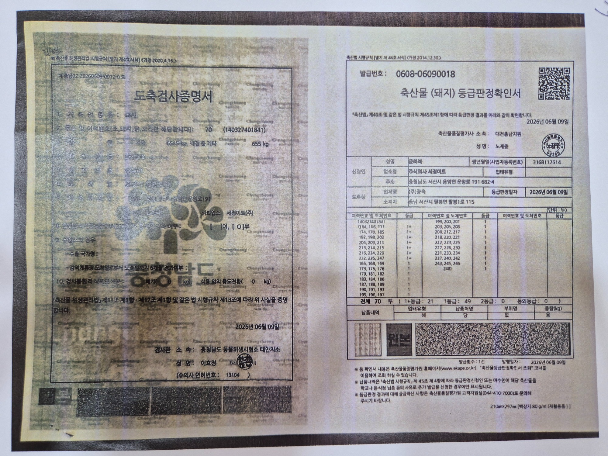 260612.jpg