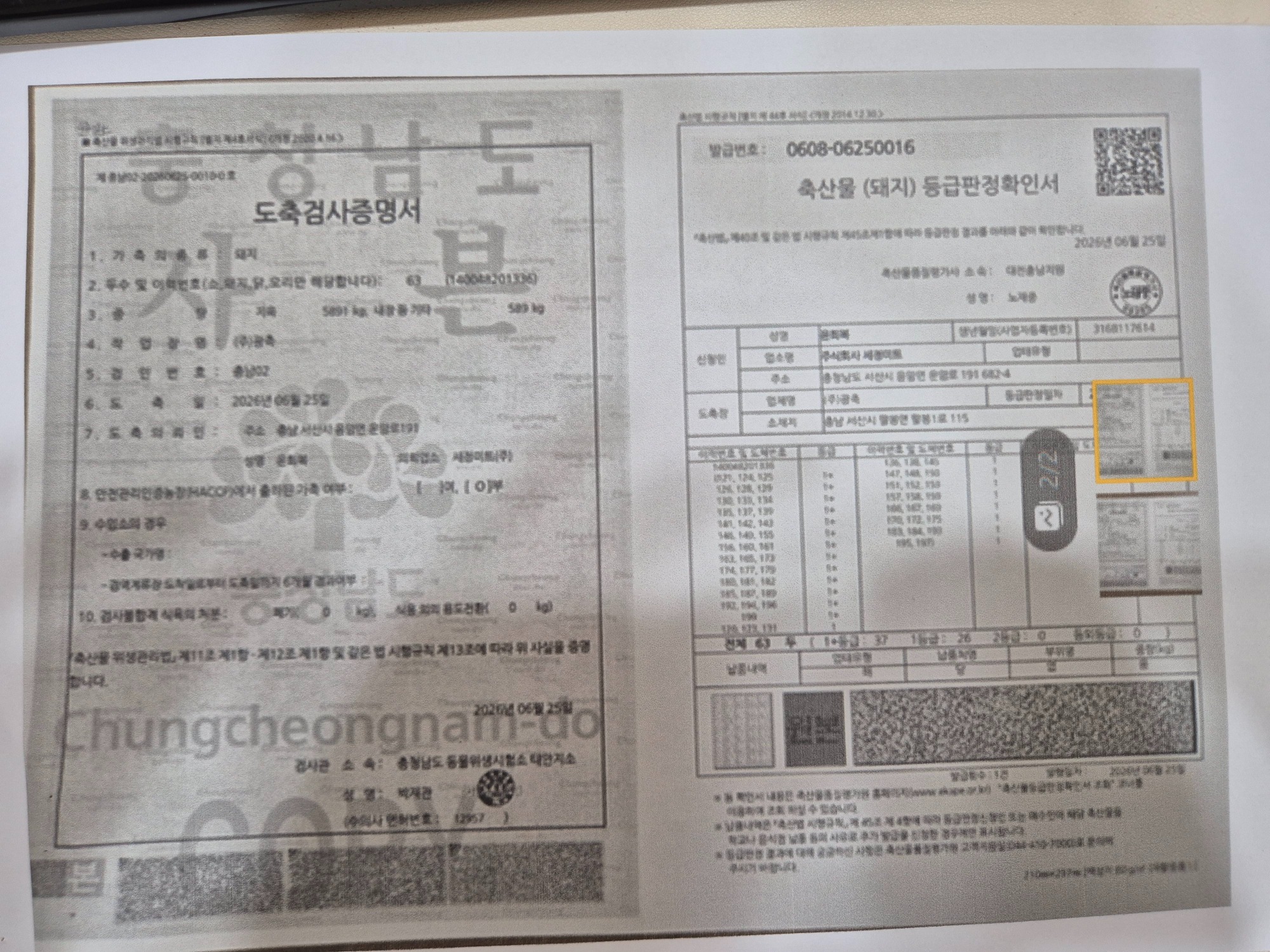 KakaoTalk_20260701_171230678.jpg