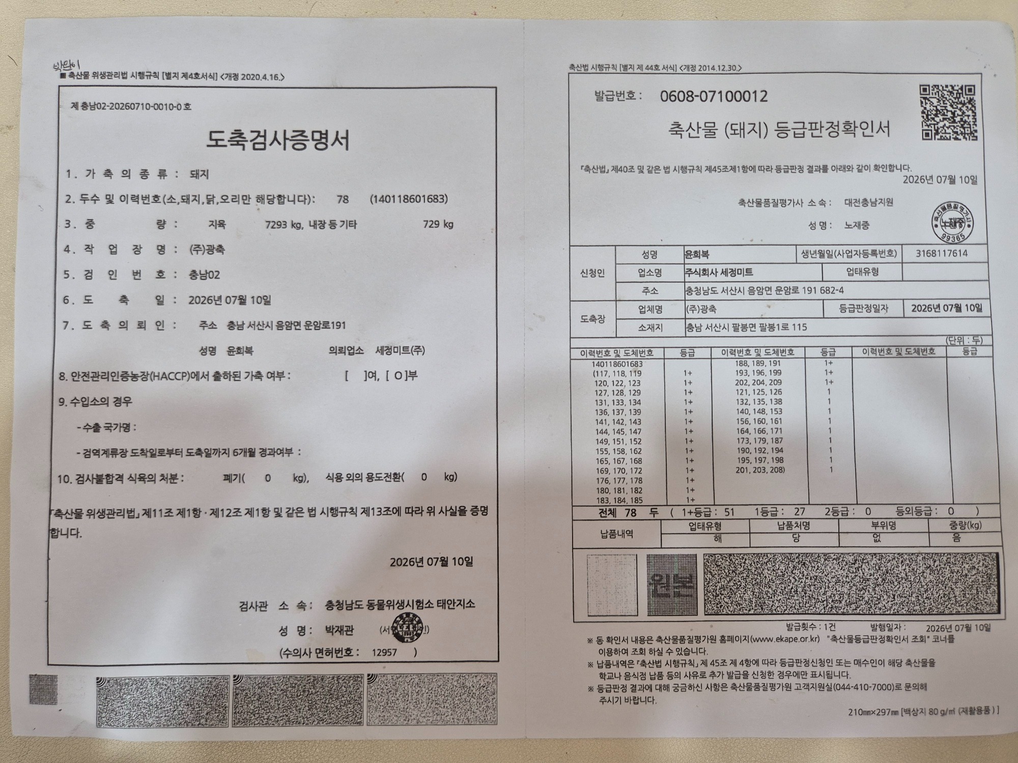 260724.jpg