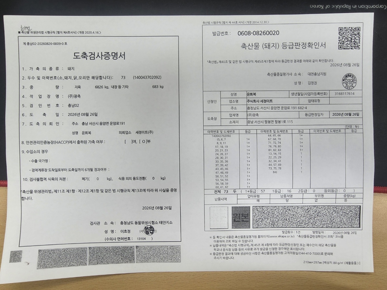 260828.jpg