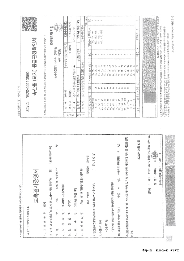 IVIV01000_2.jpg